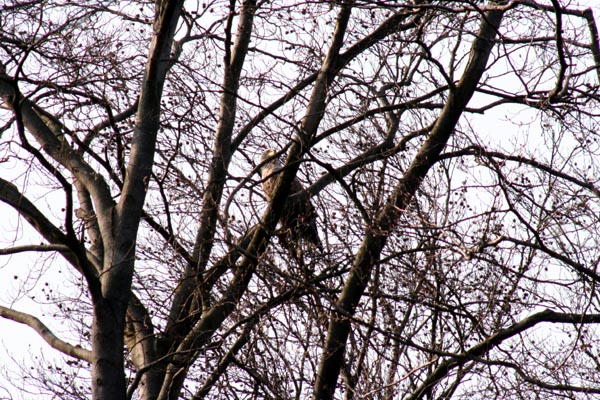 Killikus® Fotographie Killikus® Fotographie